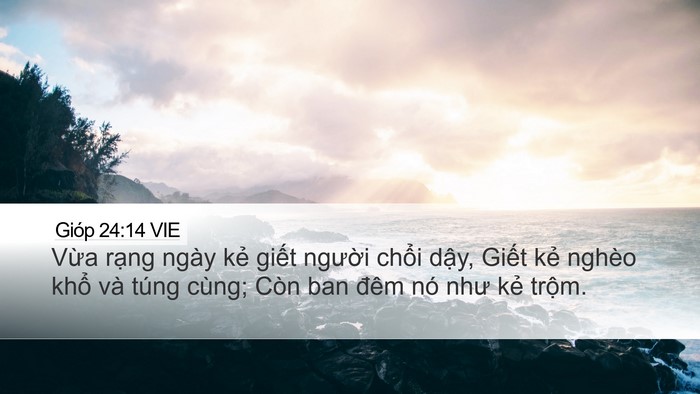 Gióp 24:14 VIE Bible Verse Image