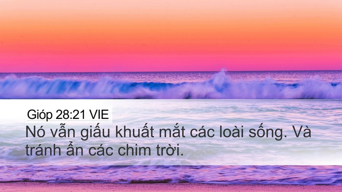 Gióp 28:21 VIE Bible Verse Image