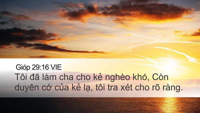 Gióp 29:16 VIE Bible Verse Image