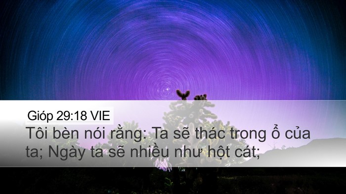 Gióp 29:18 VIE Bible Verse Image