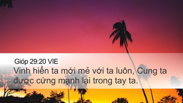 Gióp 29:20 VIE Bible Verse Image