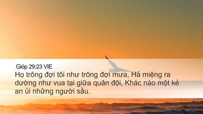Gióp 29:23 VIE Bible Verse Image