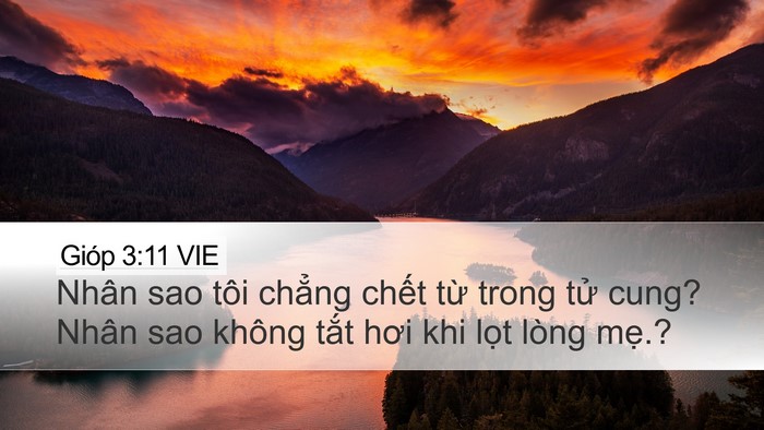Gióp 3:11 VIE Desktop Wallpaper - Nhân sao tôi chẳng chết từ trong tử - Desktop Bible Verse Wallpaper