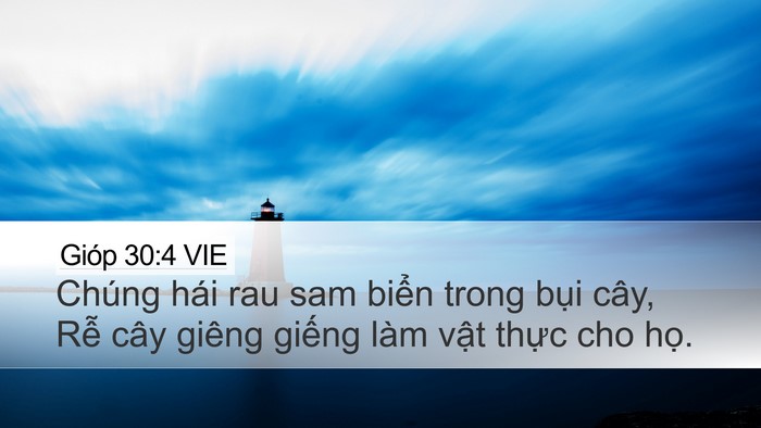 Gióp 30:4 VIE Desktop Wallpaper - Chúng hái rau sam biển trong bụi cây, Rễ - Desktop Bible Verse Wallpaper