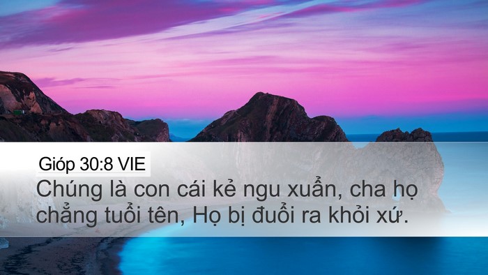 Gióp 30:8 VIE Bible Verse Image
