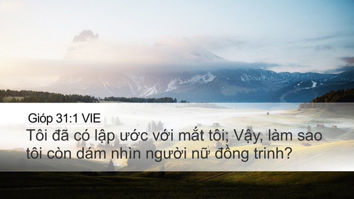 Gióp 31:1 VIE Bible Verse Image