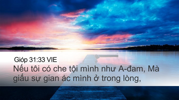 Gióp 31:33 VIE Bible Verse Image