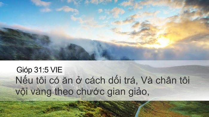 Gióp 31:5 VIE Bible Verse Image