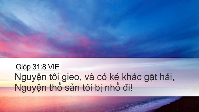 Gióp 31:8 VIE Desktop Wallpaper - Nguyện tôi gieo, và có kẻ khác gặt - Desktop Bible Verse Wallpaper