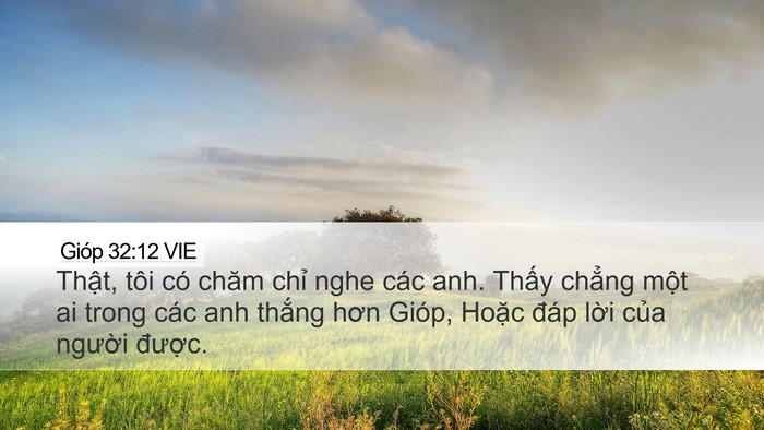 Gióp 32:12 VIE Bible Verse Image