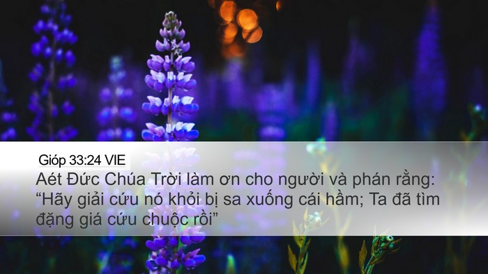 Gióp 33:24 VIE Bible Verse Image