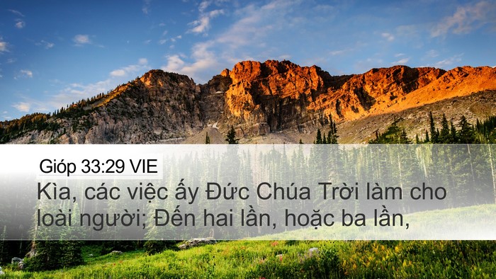Gióp 33:29 VIE Bible Verse Image