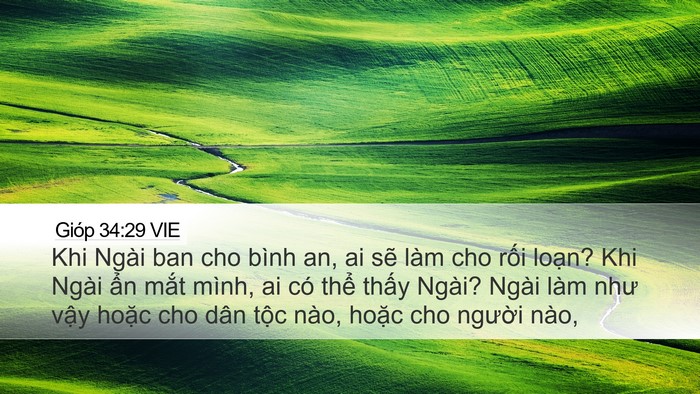 Gióp 34:29 VIE Bible Verse Image