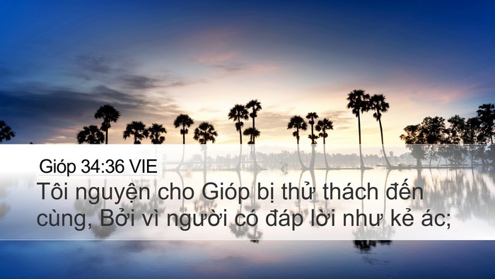 Gióp 34:36 VIE Bible Verse Image
