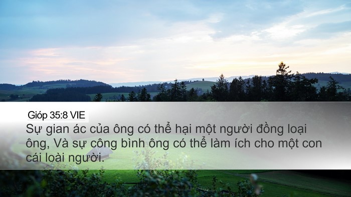Gióp 35:8 VIE Desktop Wallpaper - Sự gian ác của ông có thể hại một - Desktop Bible Verse Wallpaper