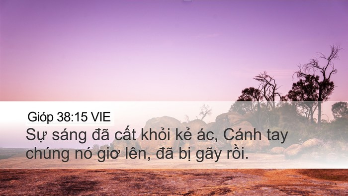 Gióp 38:15 VIE Bible Verse Image