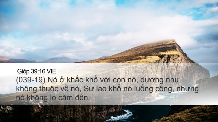 Gióp 39:16 VIE Bible Verse Image