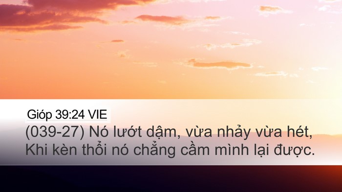 Gióp 39:24 VIE Bible Verse Image