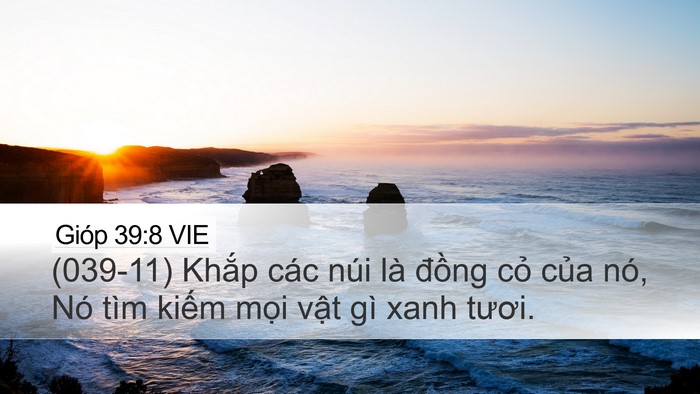 Gióp 39:8 VIE Bible Verse Image