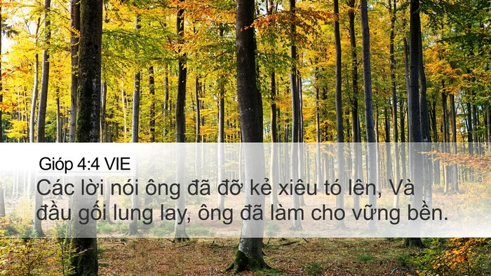 Gióp 4:4 VIE Desktop Wallpaper - Các lời nói ông đã đỡ kẻ xiêu tó - Desktop Bible Verse Wallpaper