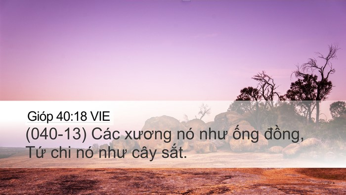 Gióp 40:18 VIE Bible Verse Image