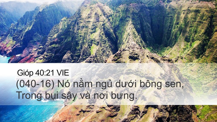 Gióp 40:21 VIE Bible Verse Image