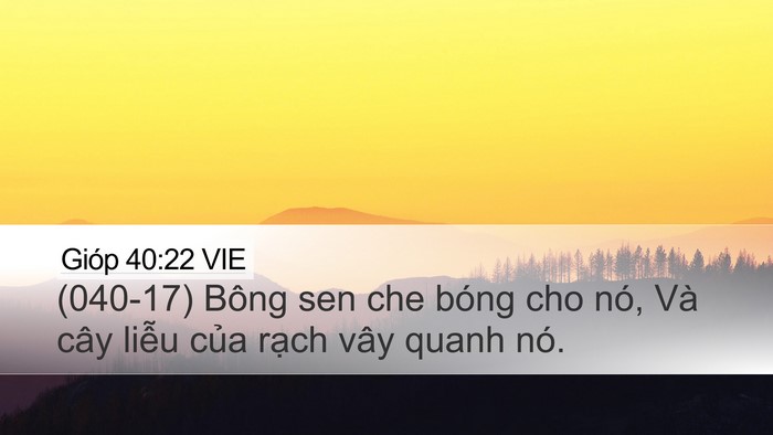 Gióp 40:22 VIE Bible Verse Image