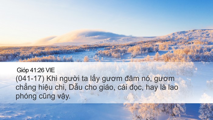 Gióp 41:26 VIE Bible Verse Image