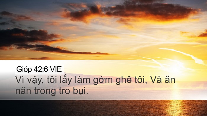 Gióp 42:6 VIE Bible Verse Image