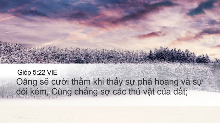 Gióp 5:22 VIE Bible Verse Image