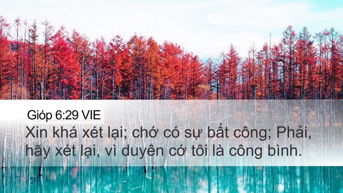 Gióp 6:29 VIE Bible Verse Image