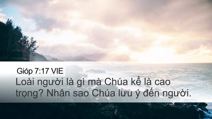 Gióp 7:17 VIE Bible Verse Image