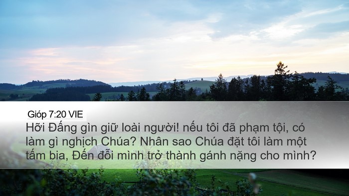 Gióp 7:20 VIE Bible Verse Image