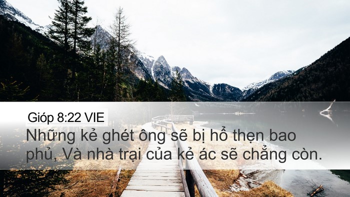 Gióp 8:22 VIE Bible Verse Image