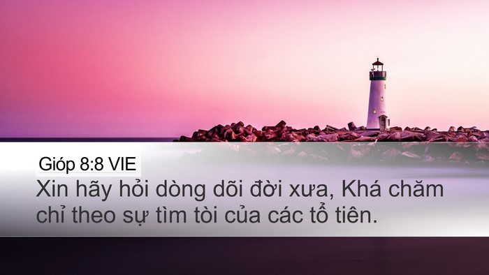 Gióp 8:8 VIE Bible Verse Image