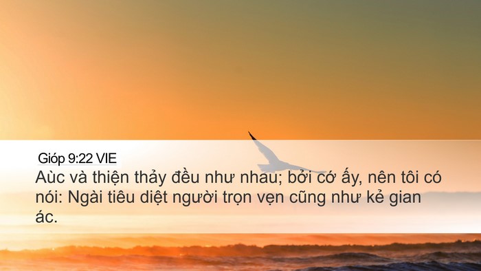 Gióp 9:22 VIE Bible Verse Image