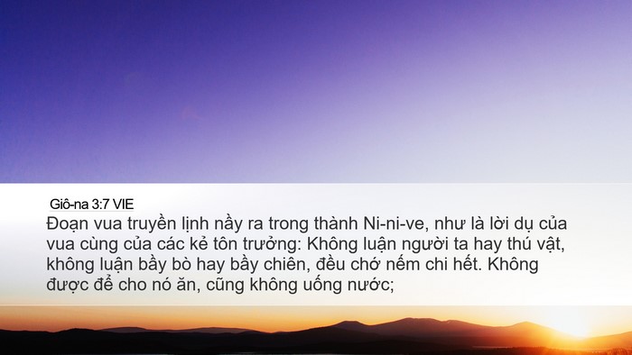 Giô-na 3:7 VIE Bible Verse Image