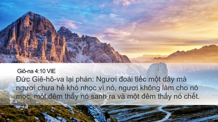 Giô-na 4:10 VIE Bible Verse Image