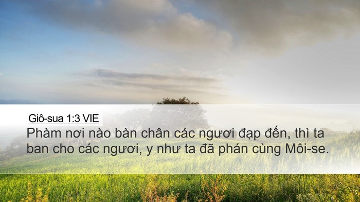 Giô-sua 1:3 VIE Bible Verse Image