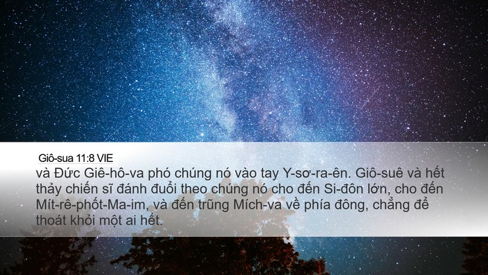 Giô-sua 11:8 VIE Bible Verse Image