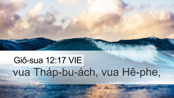 Giô-sua 12:17 VIE Bible Verse Image