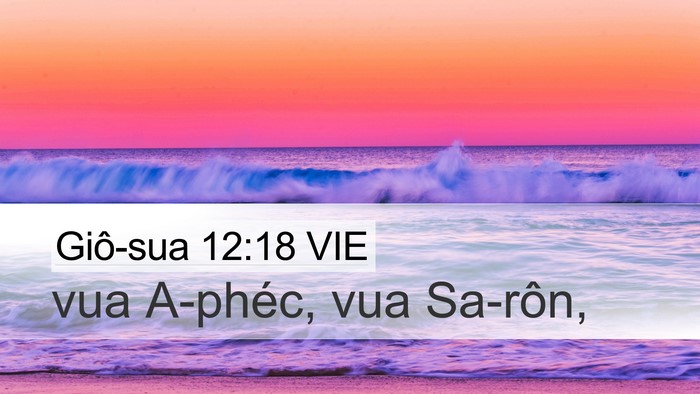 Giô-sua 12:18 VIE Bible Verse Image