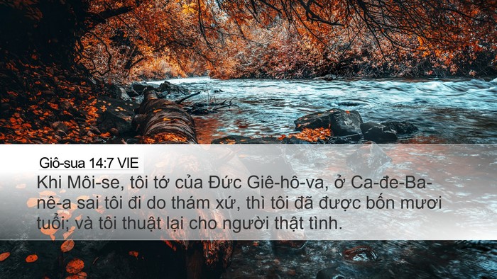 Giô-sua 14:7 VIE Bible Verse Image