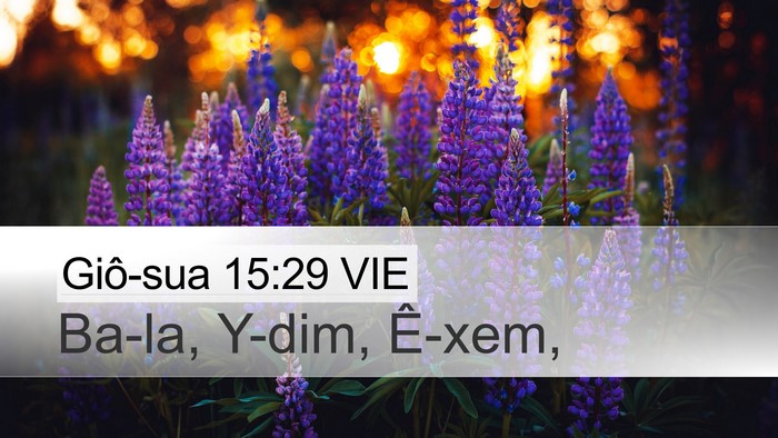 Giô-sua 15:29 VIE Desktop Wallpaper - Ba-la, Y-dim, - Desktop Bible Verse Wallpaper