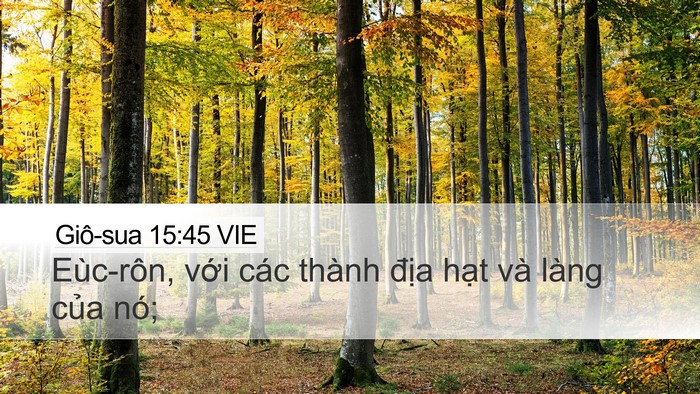 Giô-sua 15:45 VIE Bible Verse Image