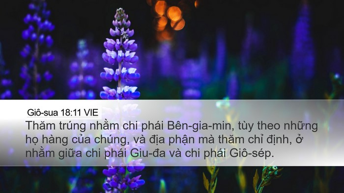 Giô-sua 18:11 VIE Bible Verse Image
