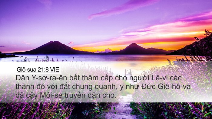 Giô-sua 21:8 VIE Desktop Wallpaper - Dân Y-sơ-ra-ên bắt thăm cấp cho người - Desktop Bible Verse Wallpaper