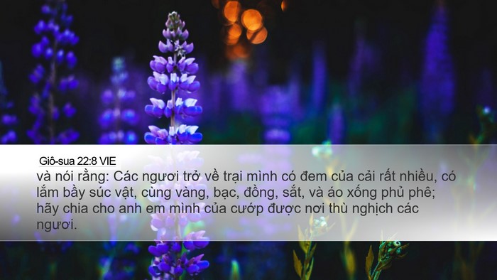 Giô-sua 22:8 VIE Desktop Wallpaper - và nói rằng: Các ngươi trở về trại - Desktop Bible Verse Wallpaper