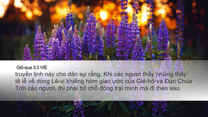 Giô-sua 3:3 VIE Desktop Wallpaper - truyền lịnh này cho dân sự rằng: Khi - Desktop Bible Verse Wallpaper