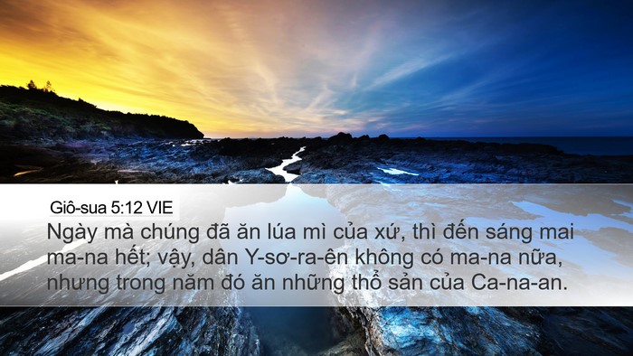 Giô-sua 5:12 VIE Desktop Wallpaper - Ngày mà chúng đã ăn lúa mì của xứ, - Desktop Bible Verse Wallpaper